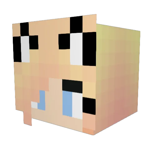 PENGUINPLZGAMES Minecraft avatar head, 3D render