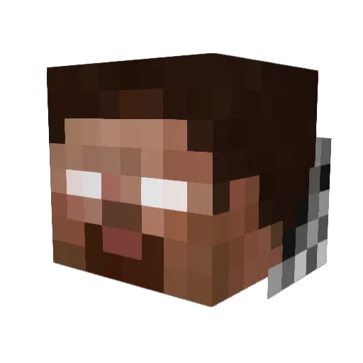 PENGUIN_0111 Minecraft avatar head, 3D render