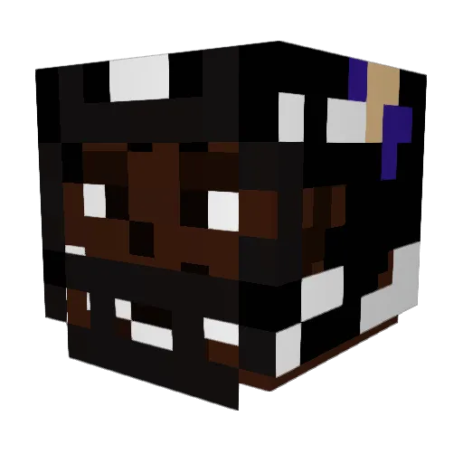 PENGUW1N Minecraft avatar head, 3D render
