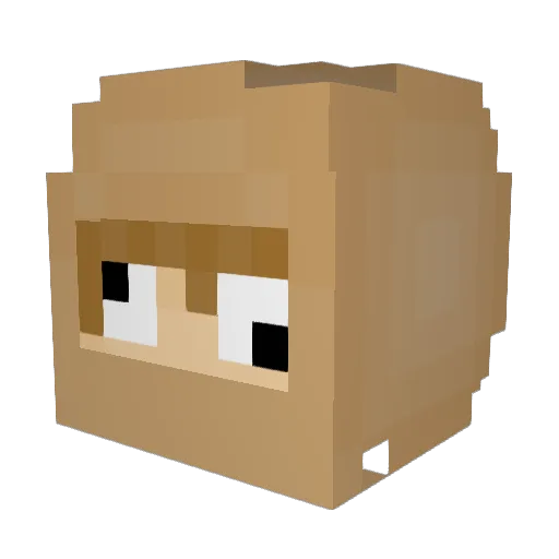 PENIIIIIIIIIIIS Minecraft avatar head, 3D render