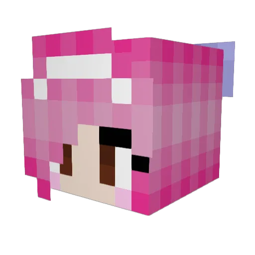 PERDIGON69 Minecraft avatar head, 3D render