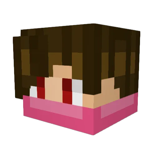 PERRY262 Minecraft avatar head, 3D render