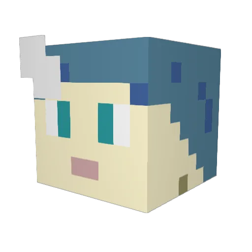PETIPOL Minecraft avatar head, 3D render
