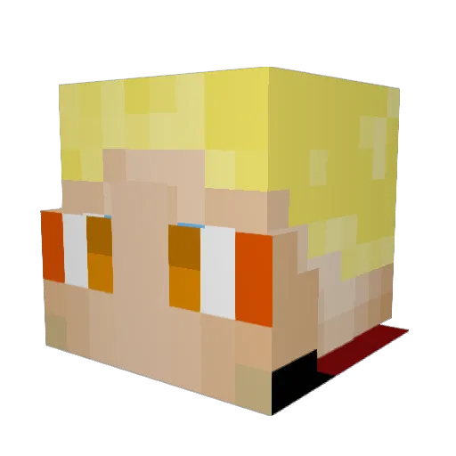 PEcANoX Minecraft avatar head, 3D render