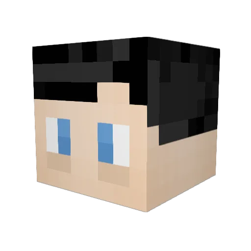 PFC_Poptart Minecraft avatar head, 3D render