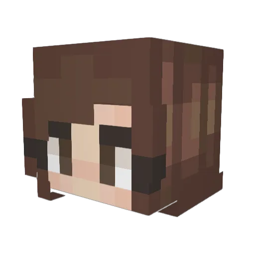PFluffyPants Minecraft avatar head, 3D render