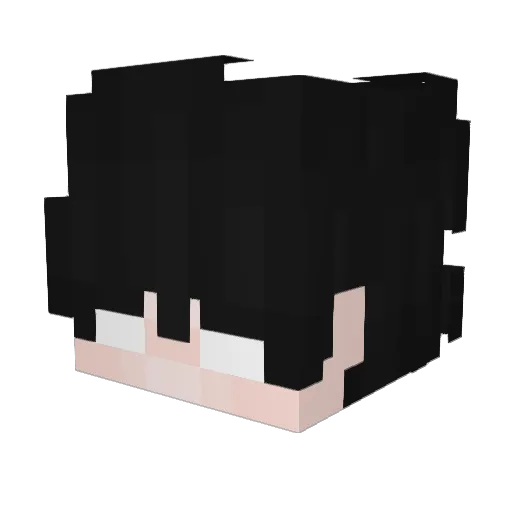 PGF_Matus Minecraft avatar head, 3D render