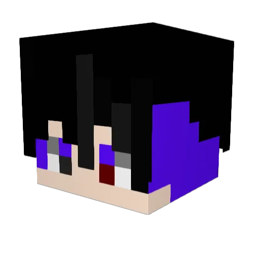 PGS_47 Minecraft avatar head, 3D render