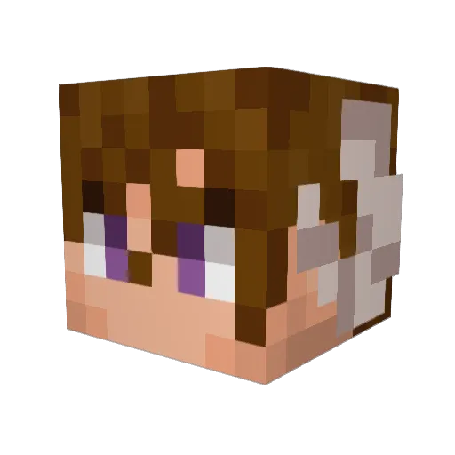 PGSans1 Minecraft avatar head, 3D render