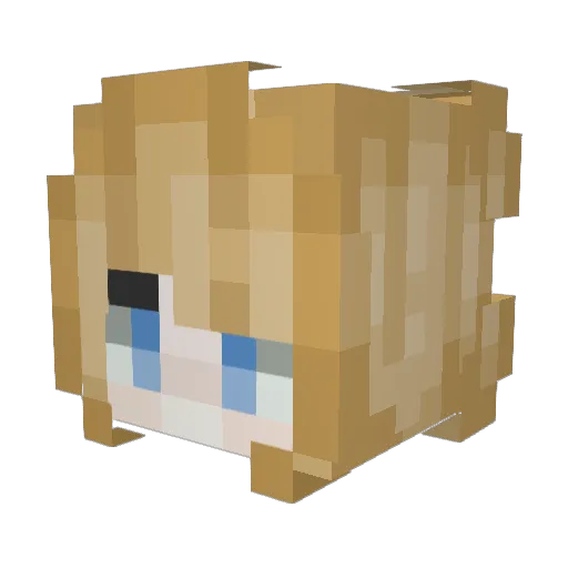 PGT4RS Minecraft avatar head, 3D render