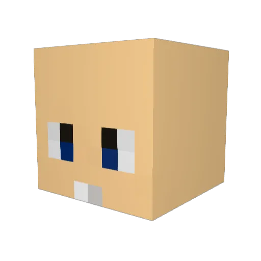 PGTDaniReal Minecraft avatar head, 3D render