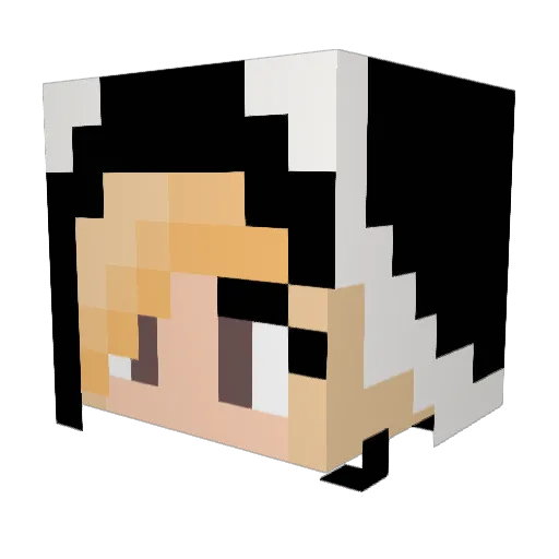 PG_Jun Minecraft avatar head, 3D render