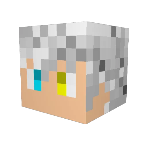 PG_MC Minecraft avatar head, 3D render