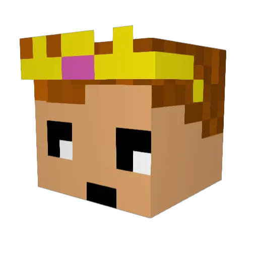PG_Ra1dcz Minecraft avatar head, 3D render