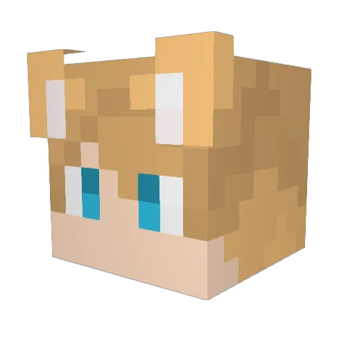 PHALAN Minecraft avatar head, 3D render