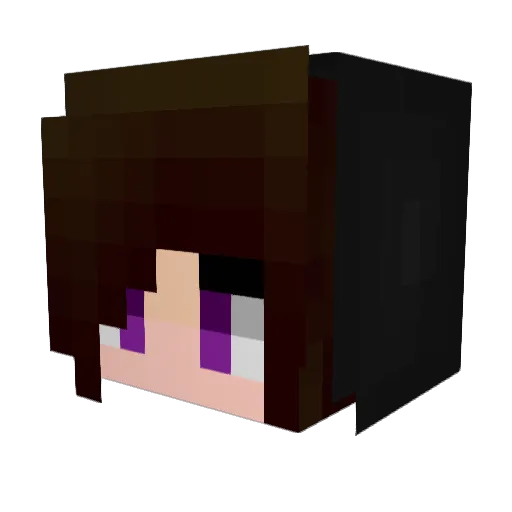PHCT73 Minecraft avatar head, 3D render