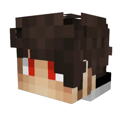 PHPCore___ Minecraft avatar head, 3D render