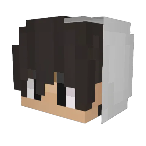 PHengT Minecraft avatar head, 3D render