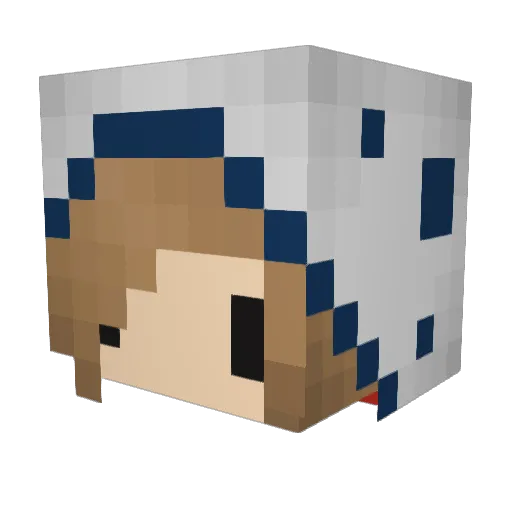 PIELOVER18 Minecraft avatar head, 3D render