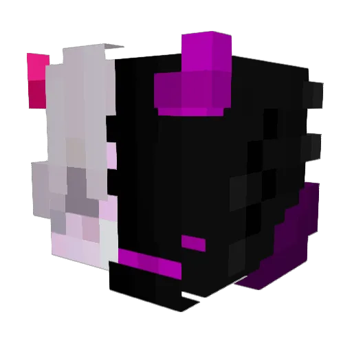 PIEORROT1 Minecraft avatar head, 3D render