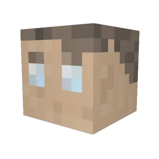 PIEPIEP Minecraft avatar head, 3D render