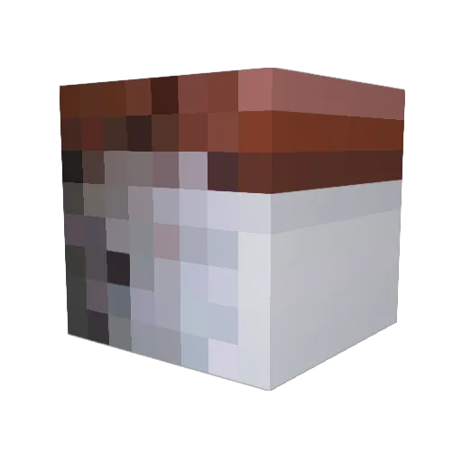 PIF_Prikazka Minecraft avatar head, 3D render