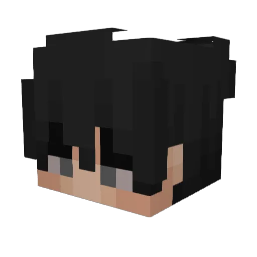 PIGE0NZ Minecraft avatar head, 3D render