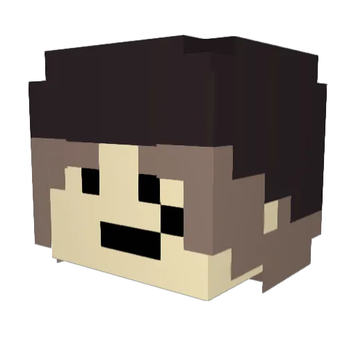 PIGEONPLUCKER67 Minecraft avatar head, 3D render