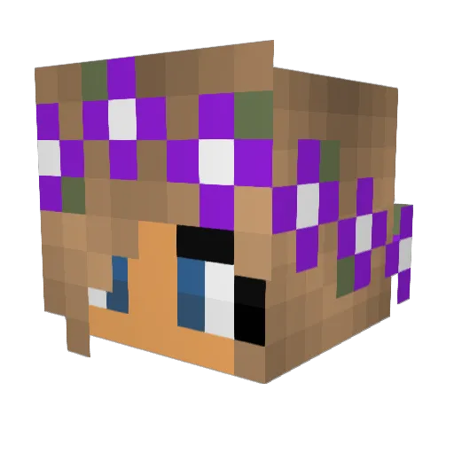 PIGO2 Minecraft avatar head, 3D render