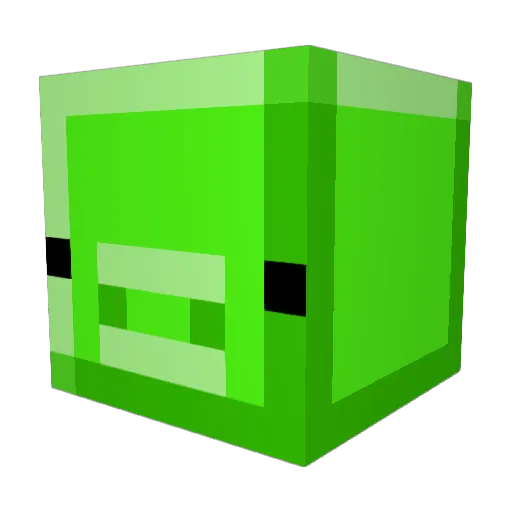 PIGPIGISTHEBEST Minecraft avatar head, 3D render