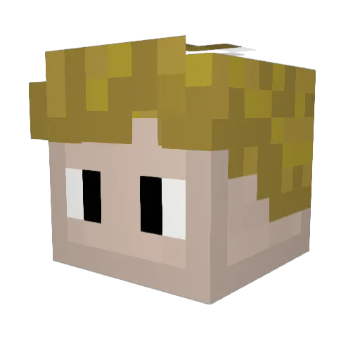 PIJI0 Minecraft avatar head, 3D render