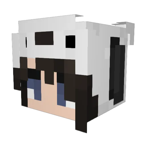 PIKO1211 Minecraft avatar head, 3D render