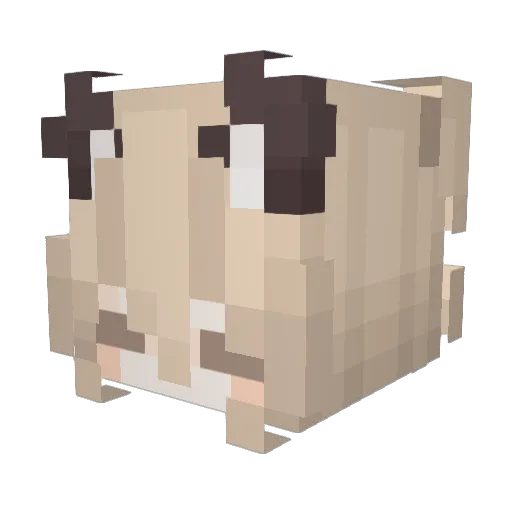 PILLMEDII Minecraft avatar head, 3D render