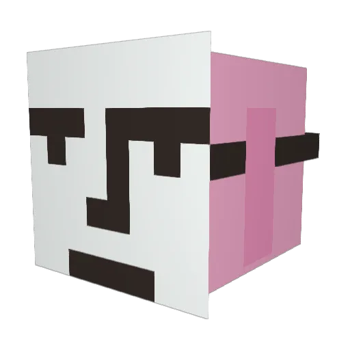 PILOT_G4 Minecraft avatar head, 3D render
