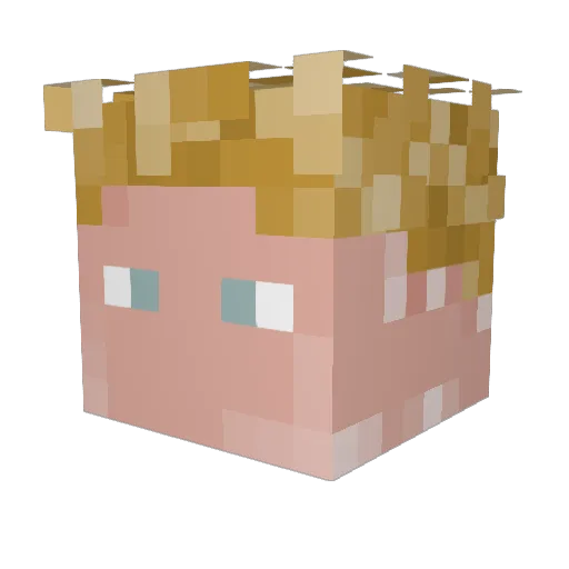 PIMJOCHEM Minecraft avatar head, 3D render