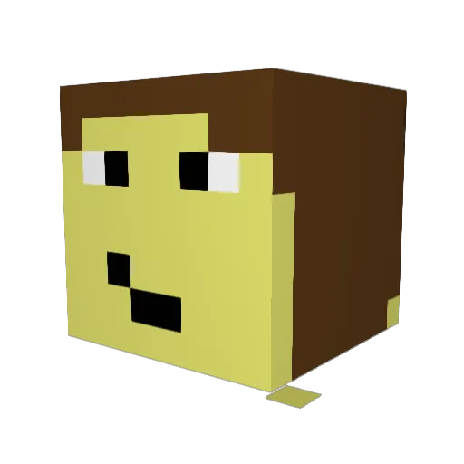PINGUSUN Minecraft avatar head, 3D render