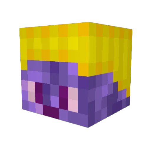 PINGVIN8837 Minecraft avatar head, 3D render