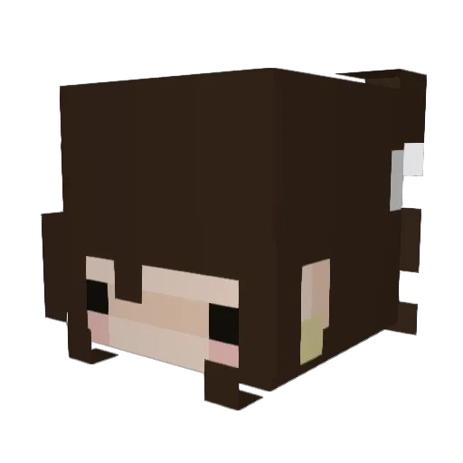 PINKBEARI Minecraft avatar head, 3D render