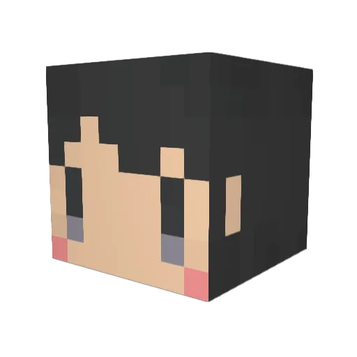 PINO5690 Minecraft avatar head, 3D render