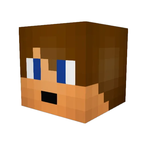 PINTEX45 Minecraft avatar head, 3D render