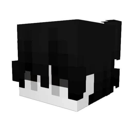 PIPICACAPROUTE Minecraft avatar head, 3D render