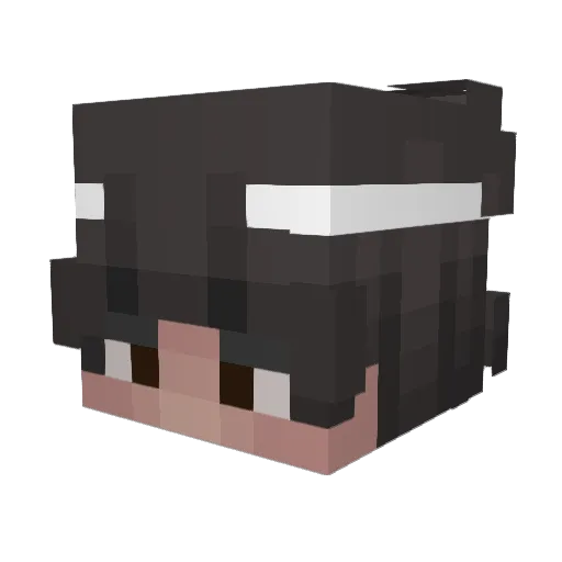 PIPOW_GAMER Minecraft avatar head, 3D render