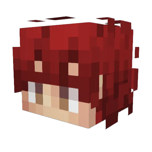 PIRATES_COVE Minecraft avatar head, 3D render