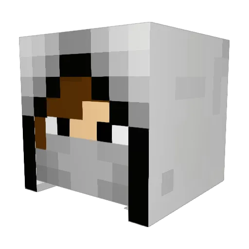 PITBULL_NL Minecraft avatar head, 3D render