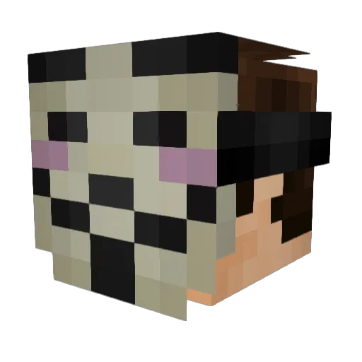 PITER1337 Minecraft avatar head, 3D render