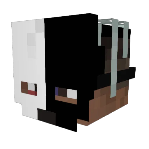 PIXELFEDE06 Minecraft avatar head, 3D render