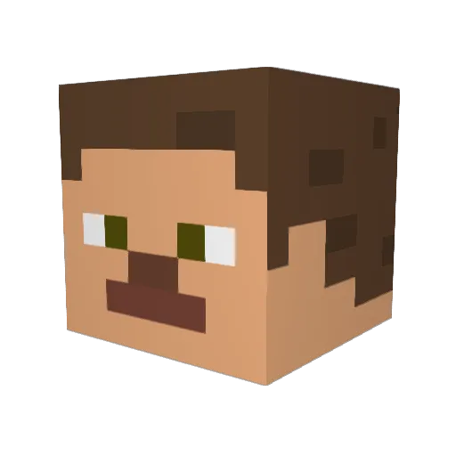 PIXEL_27 Minecraft avatar head, 3D render