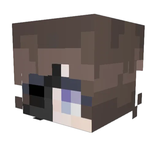 PIXIE_GUTS Minecraft avatar head, 3D render