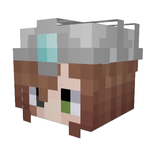 PI_Seal Minecraft avatar head, 3D render
