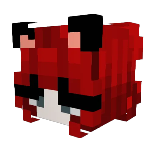 PIanetHer Minecraft avatar head, 3D render